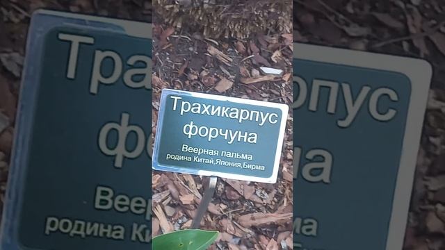 кабардинка Старый парк,камень вечности