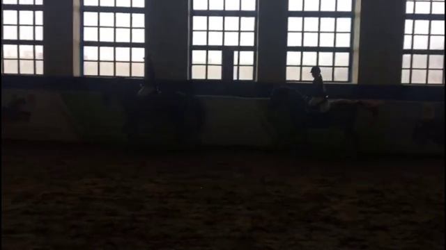 Соревнования в КСК "Кавказ". Маршрут 80см.