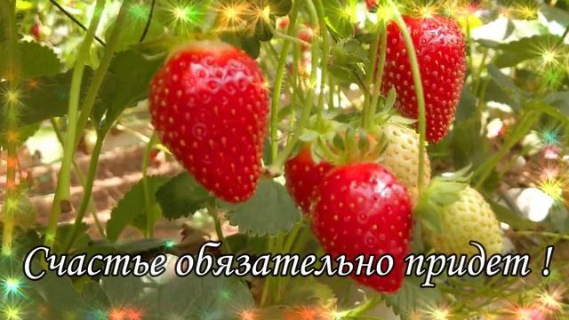 С ДОБРЫМ УТРОМ ДРУЗЬЯ  !