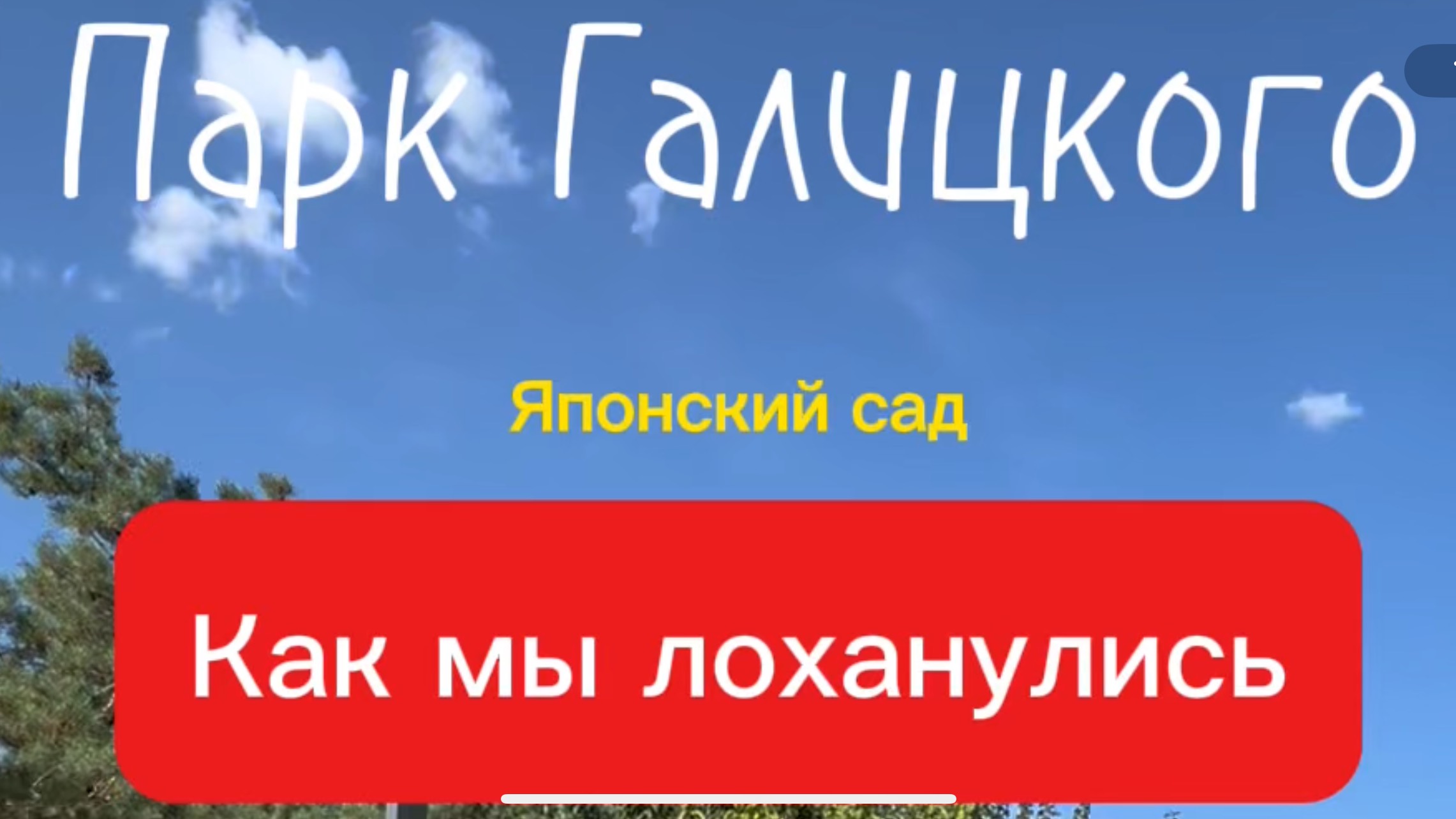 Как мы лоханулись. Парк Галицкого. Японский сад #рустамшанов #путешествия #краснодар #парк Галицкого