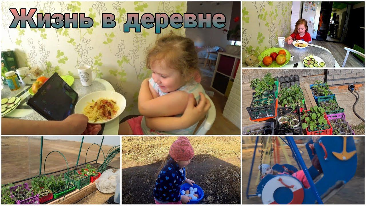Чем кормит ПАПА детей. Перенесла рассаду в Теплицу. Сколько куры снесли яйцо. Жизнь в деревне