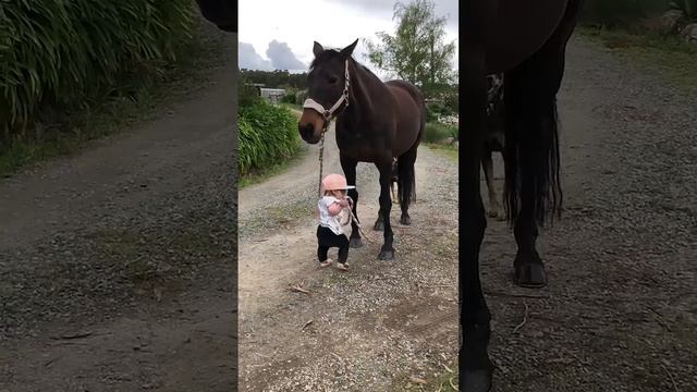 Y2meta.to-Adorable Little Girl Leads Patient Horse!-(720p)