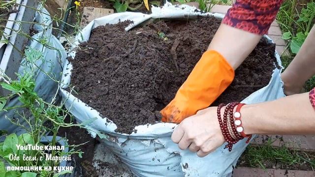 МОЛОДОЙ КАРТОФЕЛЬ В ИЮЛЕ ВЫРАЩЕННЫЙ В МЕШКЕ