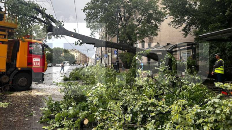 В Петербурге во время урагана погибла женщина