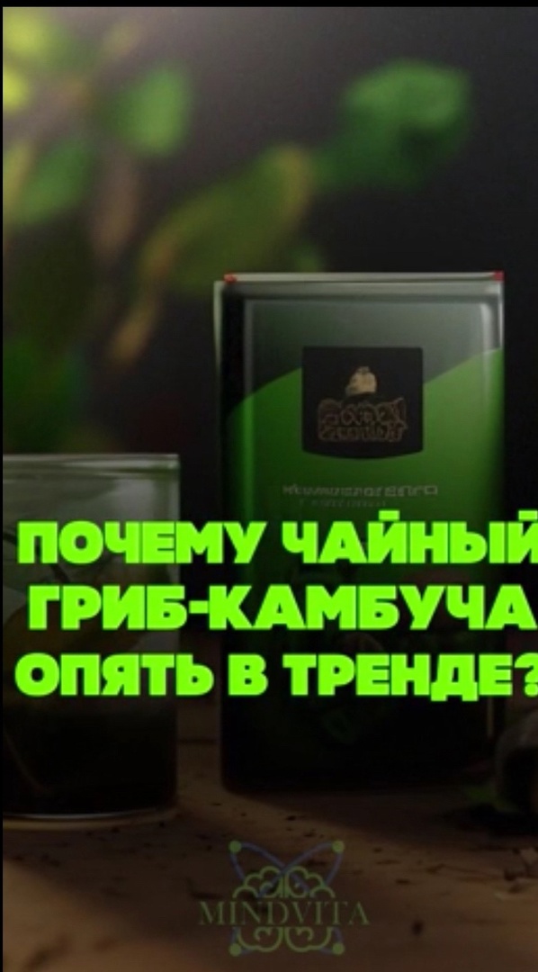 Чайный гриб Камбуча опять в тренде.