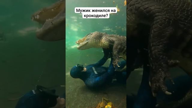 Ezen DIY Tricks - diver and alligator meet underwater