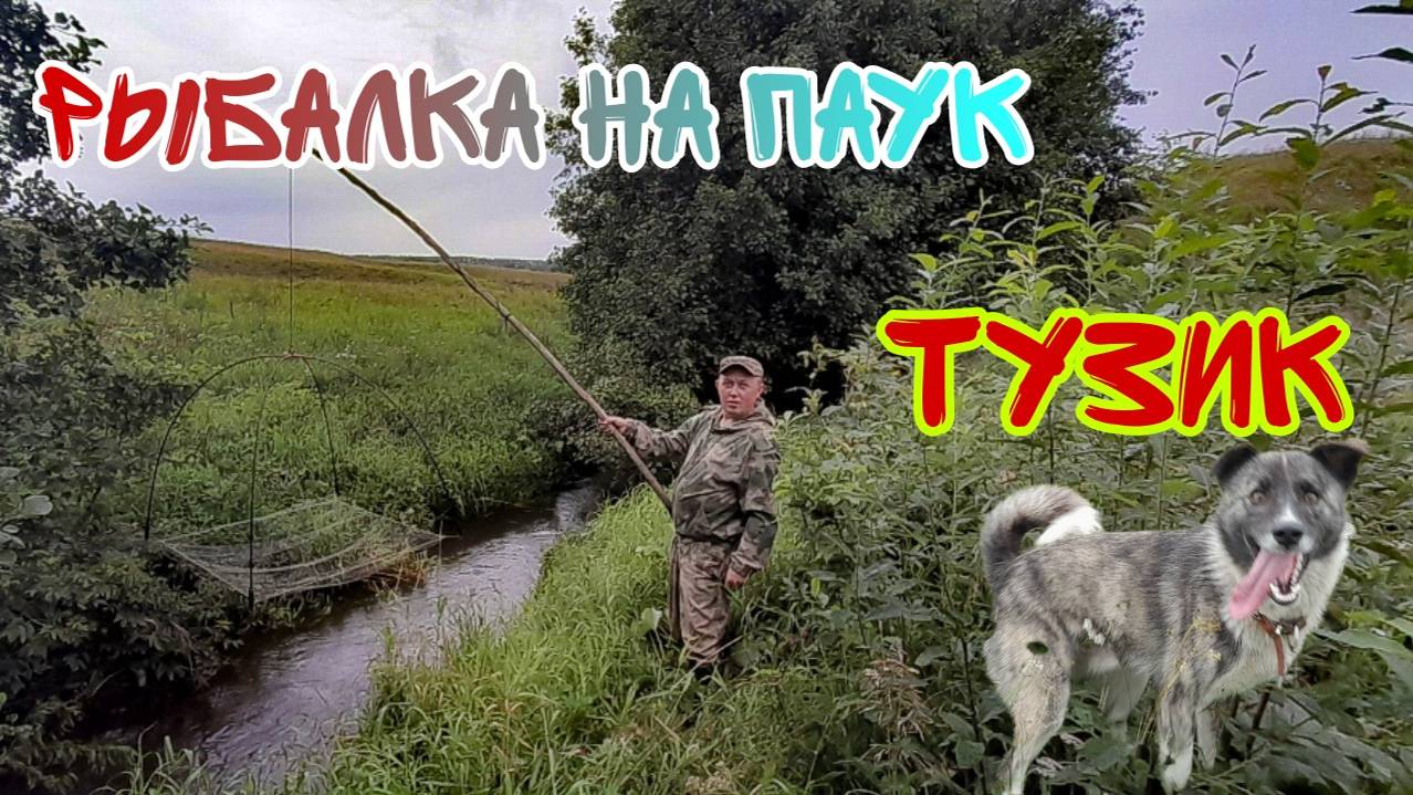 РЫБАЛКА НА ПАУК ИЛИ ПОДЪЁМНИК. РЫБУ ПОЙМАЛ И ОТПУСТИЛ. МОЯ СОБАКА ТОЖ ПОМОГАЕТ.