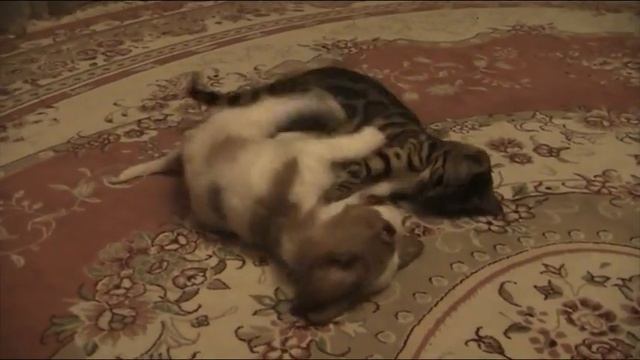 Бесси и Сема