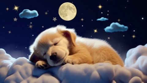 Lullabies with Perfect BPM 💛 Quick Sleep for Babies 💤 Soothing Brahms Melodies 🌙