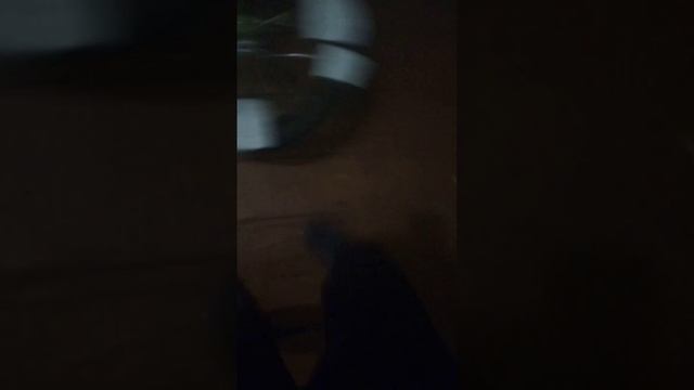 колесо фортуны