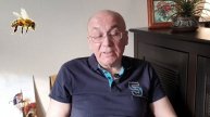 Пчела и муха. Непростые истории. Май, 2021