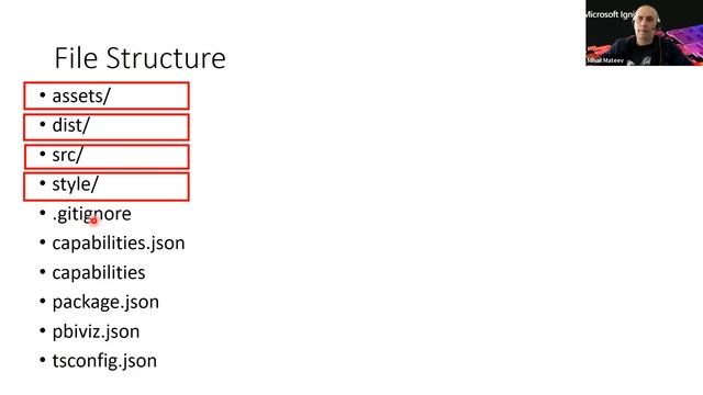 Mihail Mateev - Creating Custom Visuals in Power BI with TypeScript and D3js