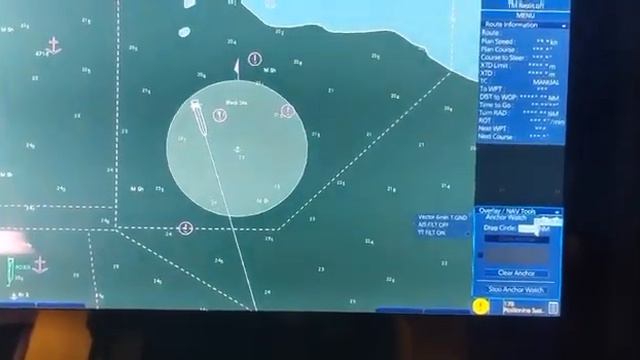 ECDIS, вахта судно, на якоре, сигнализация, видео Куницький Даниил, ХМК ХДМА, морская практика