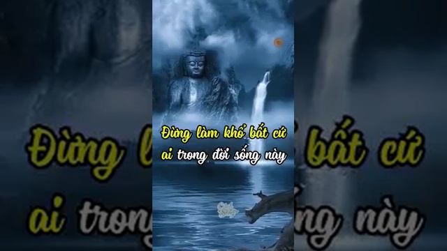 Luân hồi nhân quả