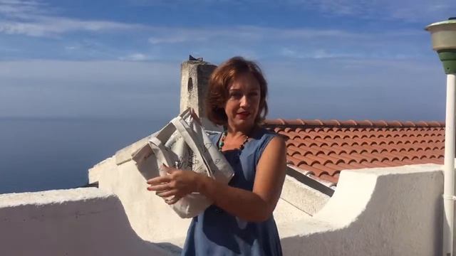 игра Эмоциональный интеллект. Учебное видео 1