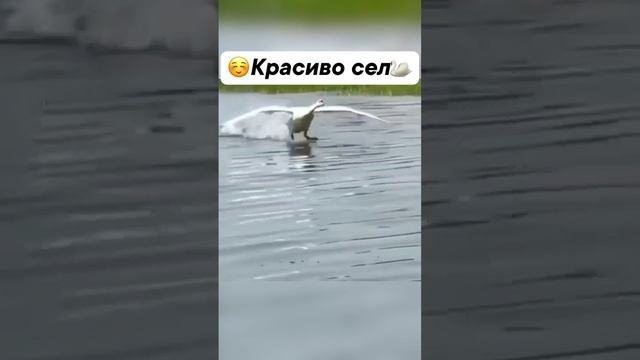 Красиво сел