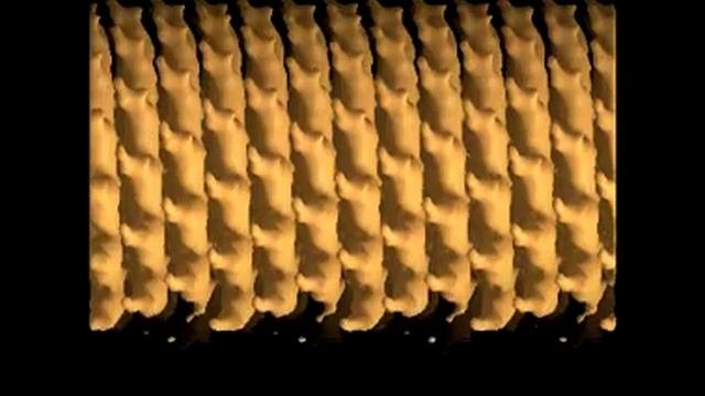 WEMC video: Reconstruction of Tobacco mosaic virus
