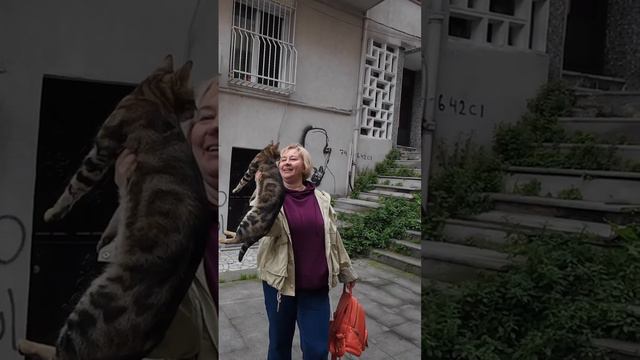 Терапия путешествиями. Стамбул.#Котики