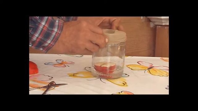 КАК БОРОТЬСЯ С МОШКОЙ