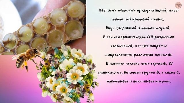 Обзоры с Алесей Юрьевой.  Маточное молочко. апифитопродукция