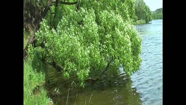 ЧТО ТЫ КЛОНИШЬ НАД ВОДАМИ 