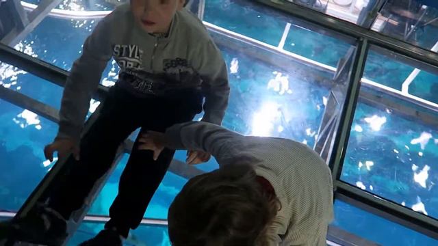 Underwater Zoo:  мы в подводном зоопарке* Дубай 2016*