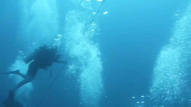 Surfacing from Sea Tiger Wreck