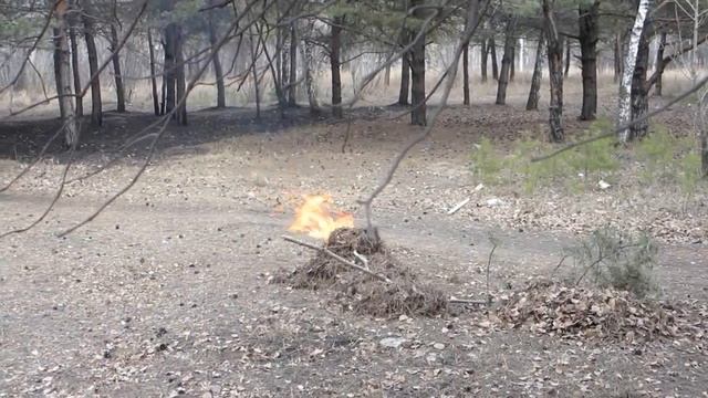 Поджог мусора