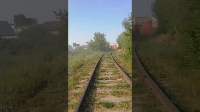 Казань Царицыно лето 2021