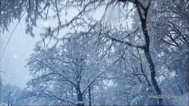 Зима. Снегопад. Релакс /  Winter. Snowfall. Relaxation
