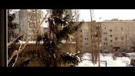 Сова. Охота на ворону...
