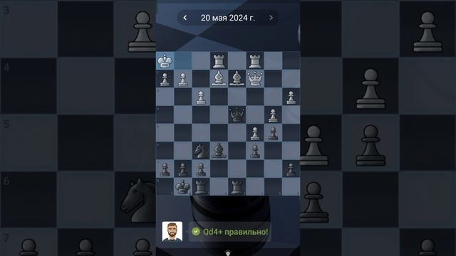 47. Chess quests #shorts