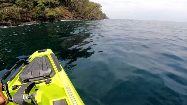 Whale Shark Gets Close to Fisherman's Boat ViralHog