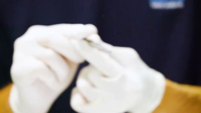 Очковые пингвины. Как спасти исчезающий вид