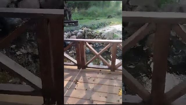 тропинка в рай
