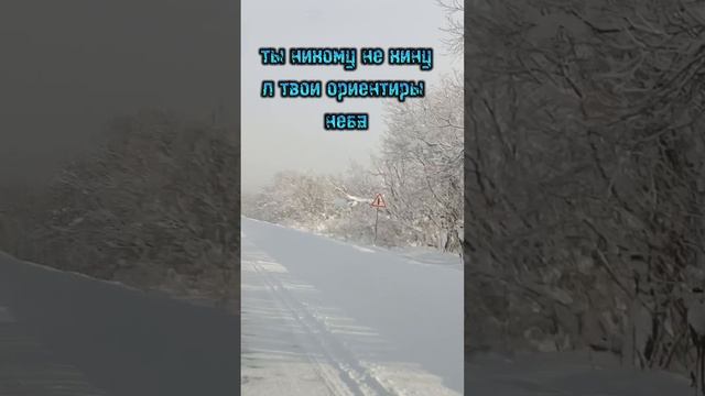 мысли в слух
