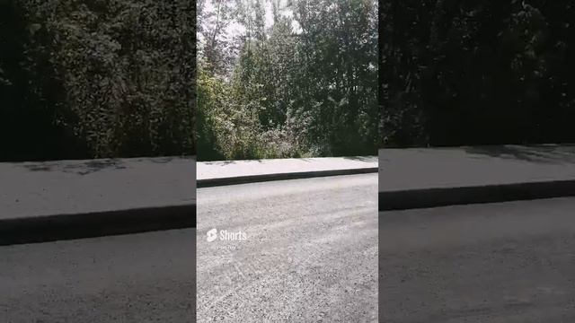 18+ дорога д. Жилетово 11.07.2024