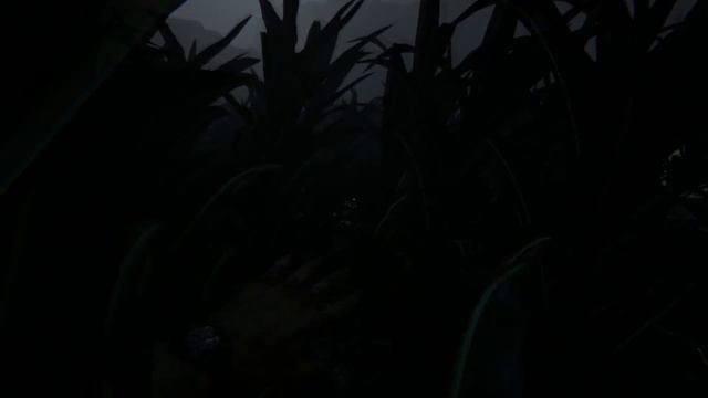 OUTLAST 2 ПРОХОЖДЕНИЕ/ЧАСТЬ3: скитания в кукурузе, тестируем бочки