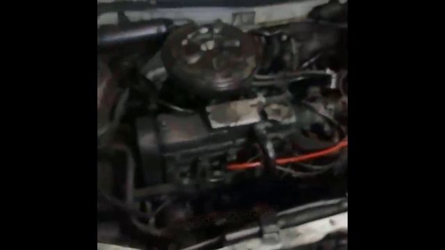 ЛУЧШИЕ ПРИКОЛЫ ДЛЯ ВЗРОСЛЫХ