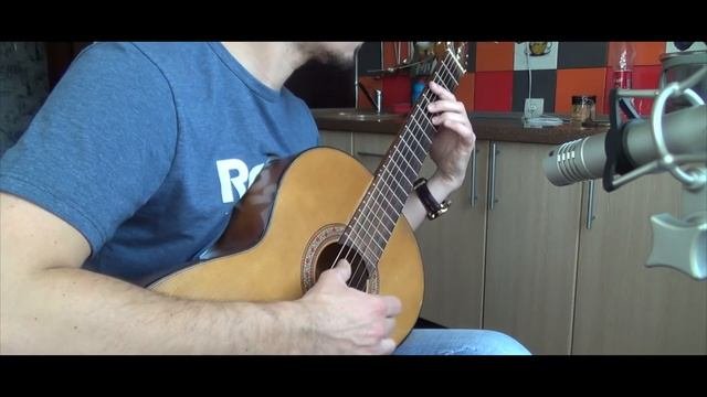 Братские могилы Высоцкий guitar cover