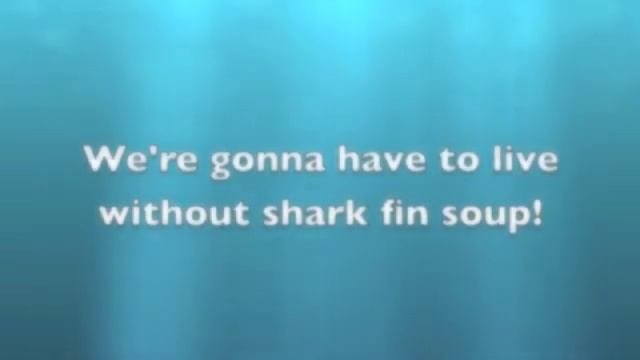 Shark Fin Soup