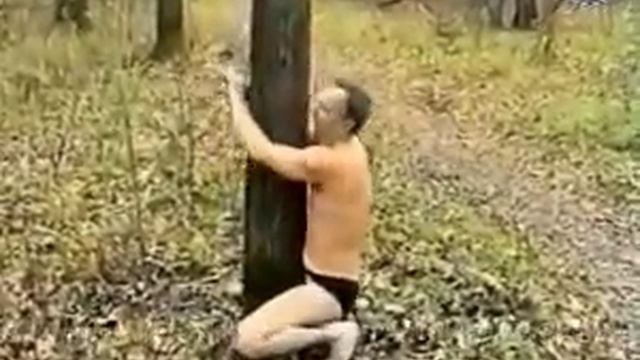 знай свое дерево