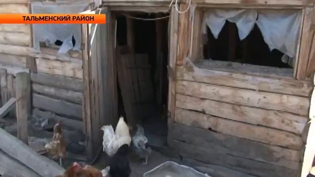 Чупакабра в Бийске