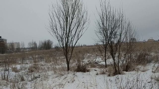 яРоссияПОСУДА НЕ МЫТА У НЕГО ДЕПРЕССИЯВ СВЕТОФОР