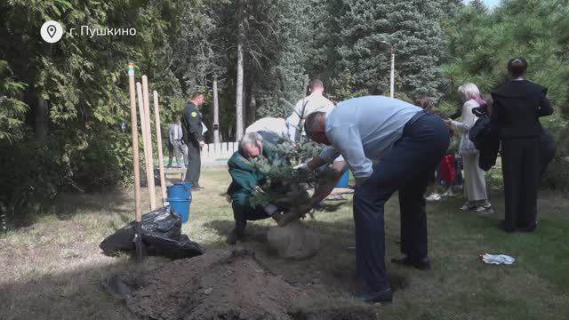 Всероссийский научно-исследовательский институт лесоводства и механизации лесного хозяйства отмечает