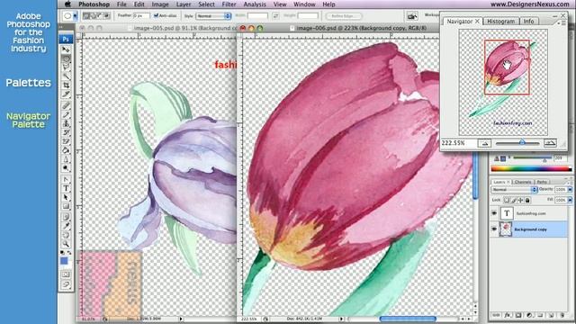 Photoshop Tutorial for Fashion Design (14/24) Palettes - Navigation, Histogram, Info