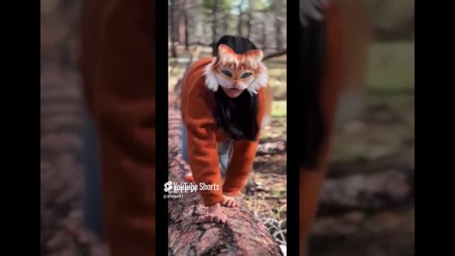 Квадробер Курва