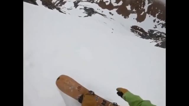 Dog tumbles down ski run
