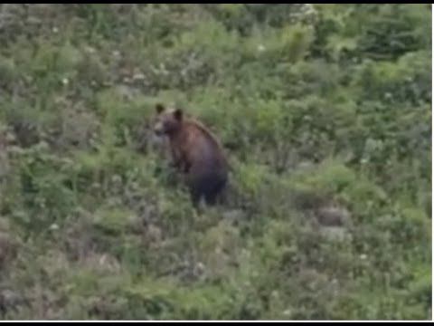 Девятый ключ Советская Гавань