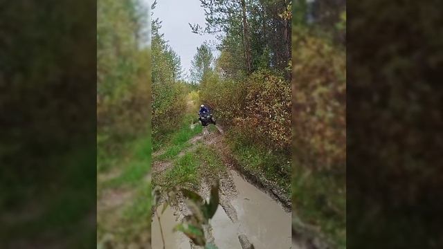 База отдыха Гризли. Архангельск. Осень 24